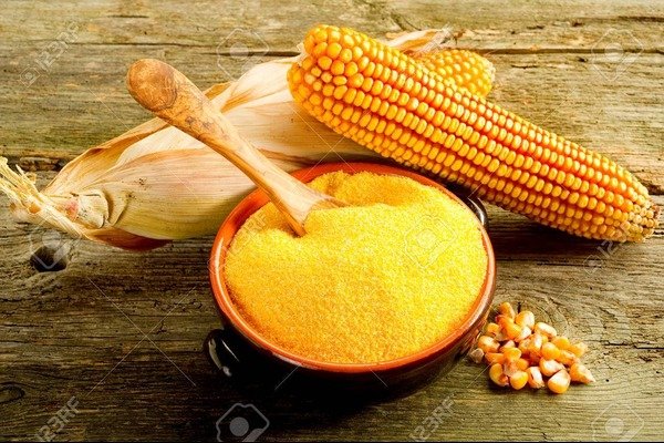 Maize for Flour