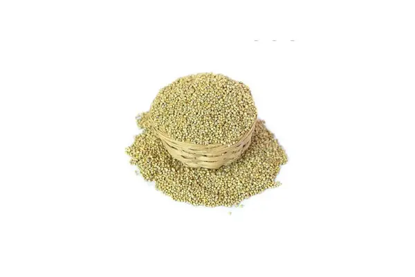 Millet for flour